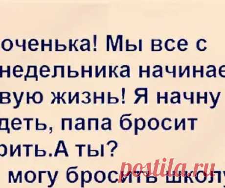 Смешные, прикольные и интересные картинки 🤣 Скачать прикольные и смешные фотки