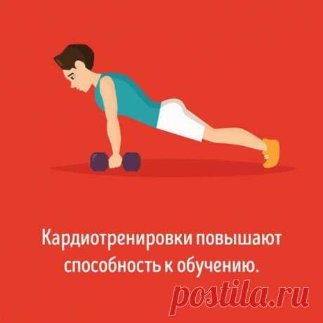 Как разные виды тренировок влияют на ваш мозг / Богатая добыча