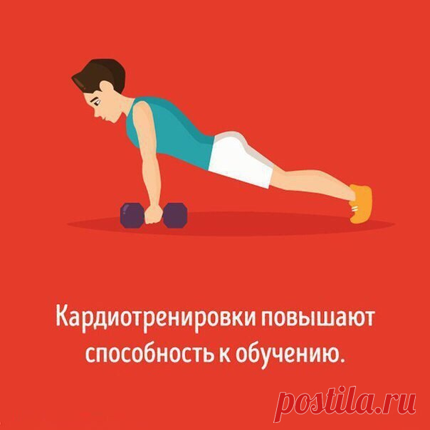 Как разные виды тренировок влияют на ваш мозг / Богатая добыча
