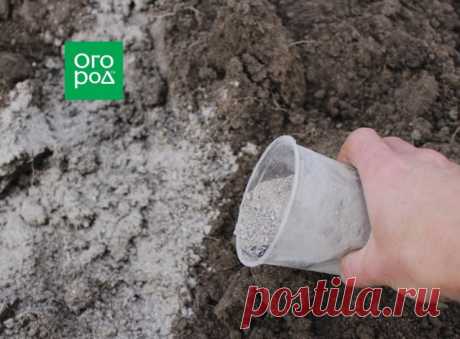 7 способов посадки озимого чеснока