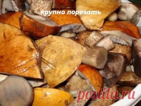 Подосиновики и подберезовики: маринуем, замораживаем и сушим на зиму / Простые рецепты