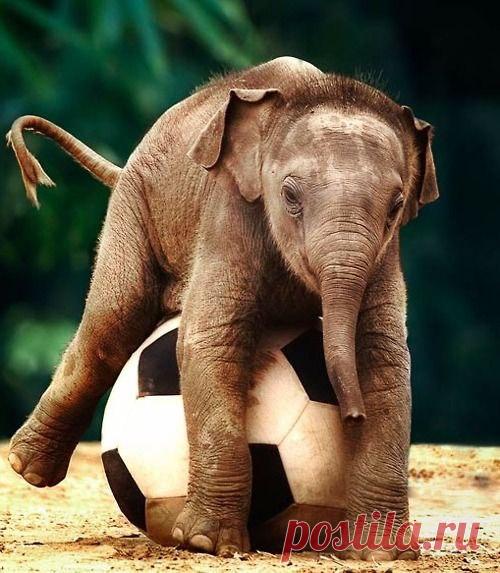 Интересные новости