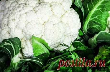 Продукты для улучшения работы поджелудочной железы