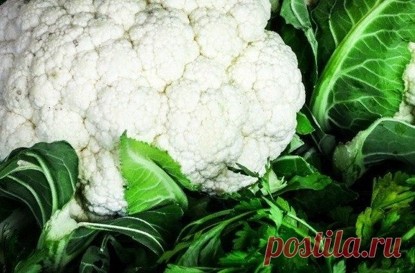 Продукты для улучшения работы поджелудочной железы