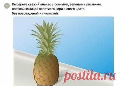Хитрости жизни