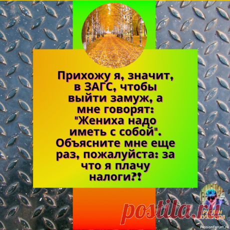 Идеал жениха для большинства девушек — принц с наивностью коня.