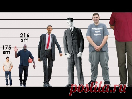 Самые ВЫСОКИЕ люди в истории