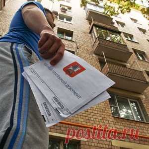 В Геленджике слонихе Чани подарили шаль, связанную из пяти километров пряжи - МирТесен