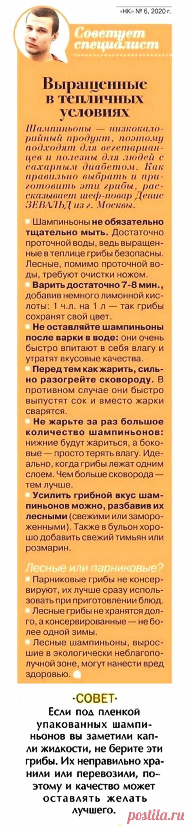 Как правильно выбрать и приготовить шампиньоны