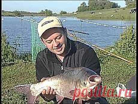 ТОЛСТОЛОБИК