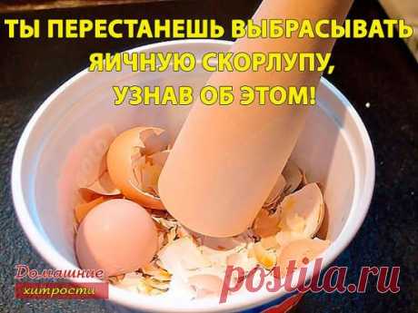 (2) Одноклассники