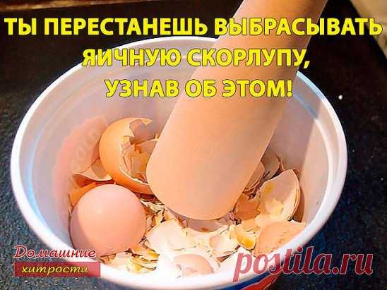 (2) Одноклассники
