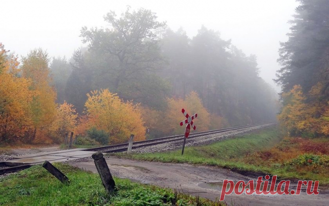 Картинки осень, железная дорога, деревья, дорога, лужи, туман, пейзаж на рабочий стол » Осень