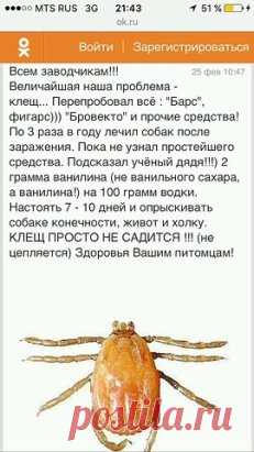 (71) Одноклассники