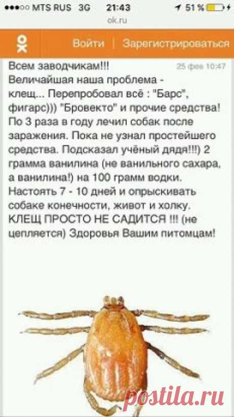 (71) Одноклассники