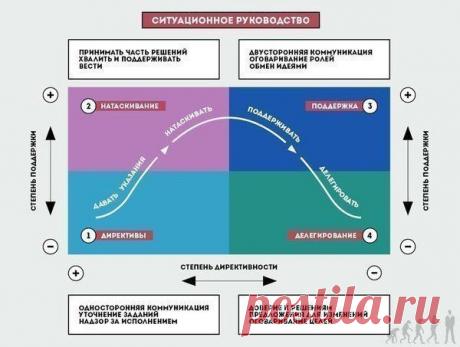 Ситуационное лидерство: 4 стиля руководства | Банки РФ