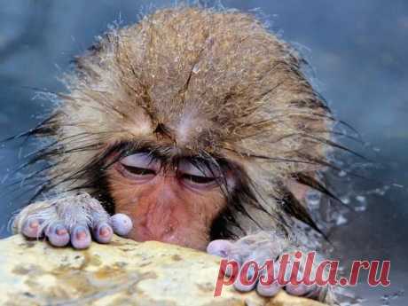 10 фотографий, после которых хочется собирать чемоданы