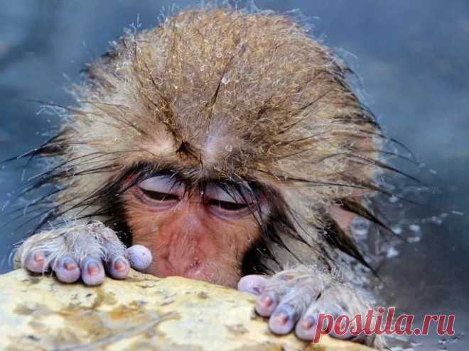 10 фотографий, после которых хочется собирать чемоданы