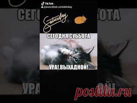 Позитивчик. ДОБРОЕ УТРО СУББОТЫ.! #доброеутро​