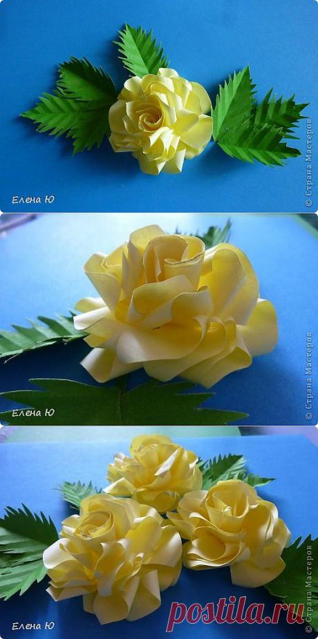 Розы из бумаги на скорую руку