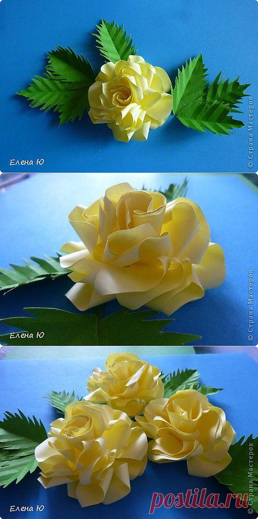 Розы из бумаги на скорую руку