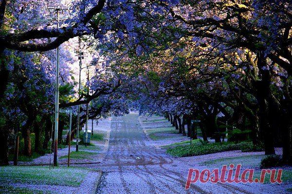 Интересные новости