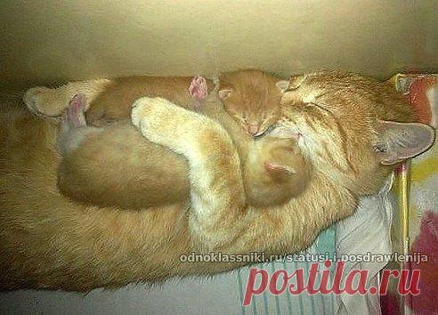 В объятьях мамы.