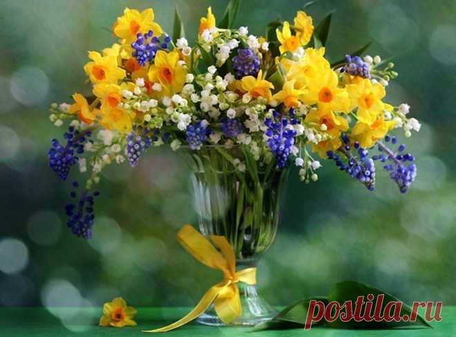 Мой Мир@Mail.Ru