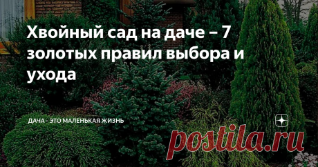 Хвойный сад на даче – 7 золотых правил выбора и ухода Чтобы саженец не погиб в первую же зиму, а хвойные растения всегда оставались яркими и нарядными, придерживайтесь этих простых правил. Хвойный сад на даче закладывается на долгие годы и выполняет несколько функций: Хвойный сад на даче – 7 золотых правил выбора и ухода Как выбрать саженец Когда сажать хвойный сад Как выбрать место для посадки Не будем описывать условия благополучного роста для каждой группы растений. Пок...