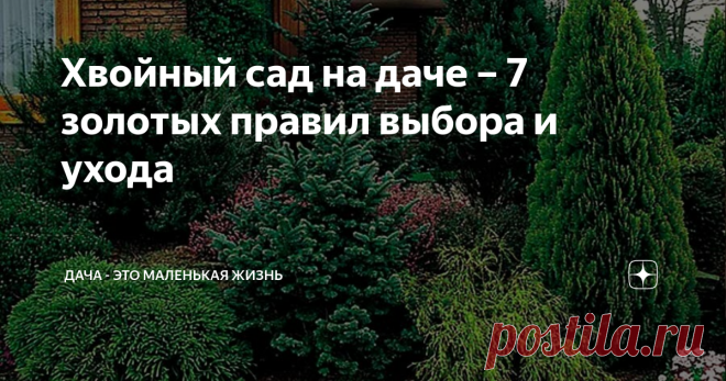 Хвойный сад на даче – 7 золотых правил выбора и ухода Чтобы саженец не погиб в первую же зиму, а хвойные растения всегда оставались яркими и нарядными, придерживайтесь этих простых правил. Хвойный сад на даче закладывается на долгие годы и выполняет несколько функций: Хвойный сад на даче – 7 золотых правил выбора и ухода Как выбрать саженец Когда сажать хвойный сад Как выбрать место для посадки Не будем описывать условия благополучного роста для каждой группы растений. Пок...