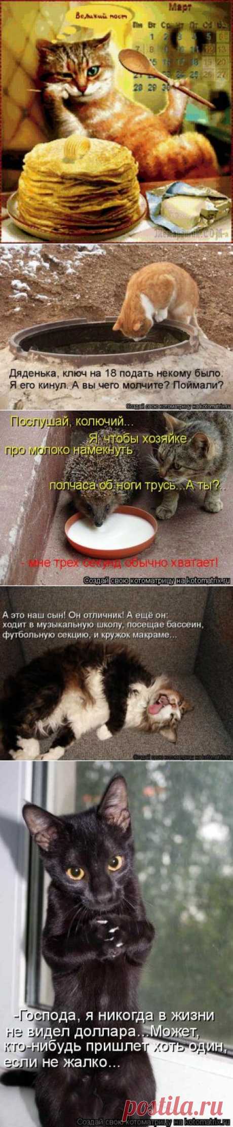 Котоматрица в масленицу