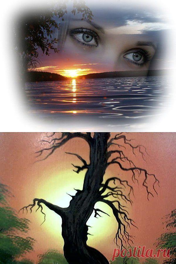 На портрете задумчивый взгляд…
"Envy" Gucci едва уловимый...
потемневшей иконки оклад
да на книжке стихов моё имя...

Не печалься, я просто уйду
в то пространство, где душам не тесно,
превратившись на небе в звезду…
жаль тебя оставлять, если честно.

Вспоминай. Если всё же завыть
ты захочешь в тоске и печали,
безнадёга - смертельная сыть -
разрывать станет сердце отчаяньем.