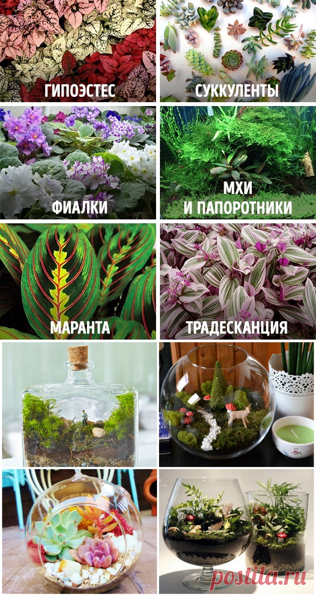Как сделать сказочный мини-сад своими руками и добавить 100 пунктов к уюту
