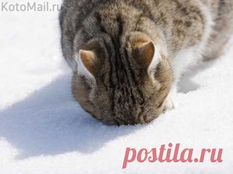 Весна, ты где?!