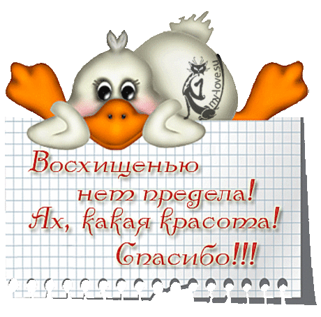 Картинки, открытки, анимация, со словами - Спасибо, Благодарю, со словами восхищения,  - Картинки Открытки My-love
