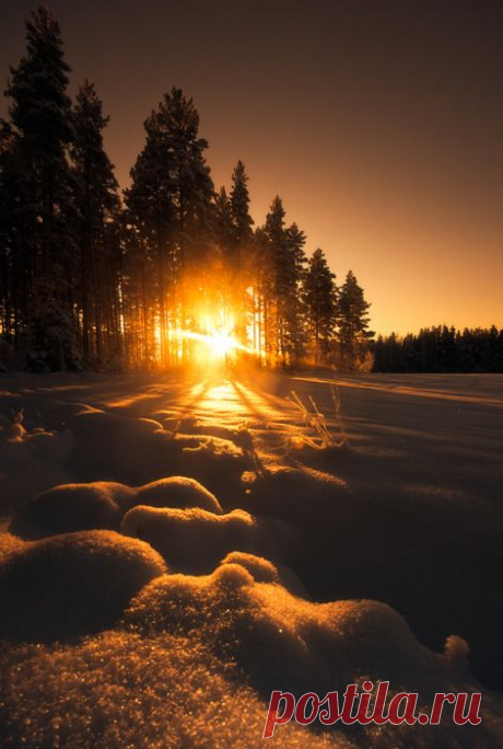 Sunset in the snow / Источник: tinywhitedaisies.tumblr.com  
 |  Pinterest • Всемирный каталог идей