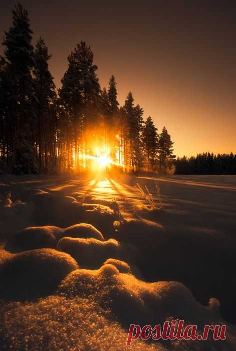 Sunset in the snow / Источник: tinywhitedaisies.tumblr.com  
 |  Pinterest • Всемирный каталог идей