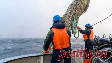 Посол в Осло рассказал о сотрудничестве в области рыболовства