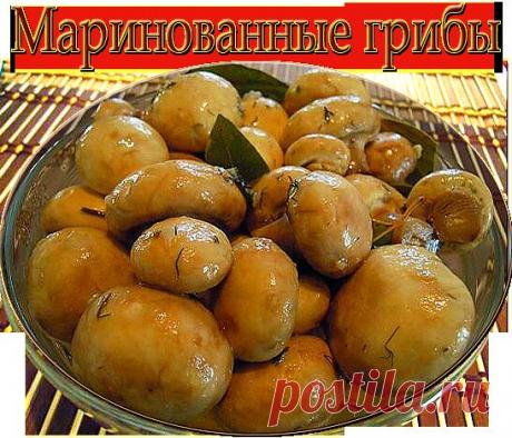 Самые вкусные маринованные грибы.