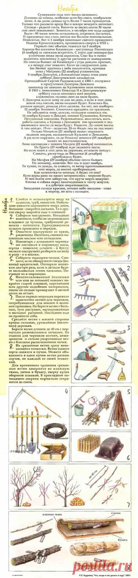 Что делать в саду в ноябре (часть1)