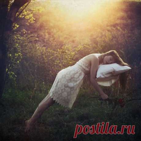 Сон или реальность? | Во тьме ночной | Яндекс Дзен астойчивый будильник поднял меня в семь. Зевая и потягиваясь, я поплелась в душ, потом кофе, сборы, и вот уже бегу на остановку. Не успев пройти и пары метров, я услышала жалобный плач. Возле дороги на бордюре сидел маленький мальчик.