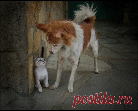 ᴼᴿᴵᴳᴵᴺᴬᴸ   SМАЙЛИКИ   (ړײ)
ß ท M Ҝภęณęมτьęв๒ι
