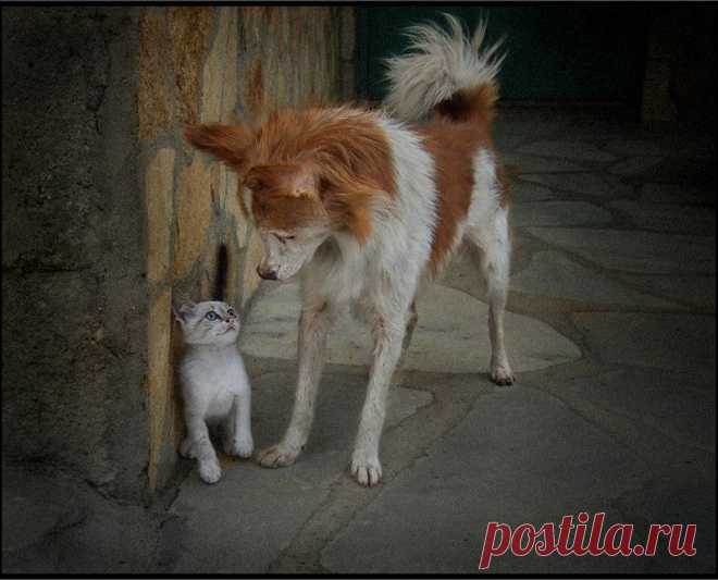 ᴼᴿᴵᴳᴵᴺᴬᴸ   SМАЙЛИКИ   (ړײ)
ß ท M Ҝภęณęมτьęв๒ι