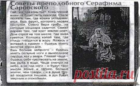 12 советов от старца Серафима.
1. Пей там, где конь пьет. Конь плохой воды не будет пить никогда.
2. Стели постель там, где кошка укладывается.
3. Ешь фрукт, которого червяк коснулся.
4. Смело бери грибы на которые мошкара садится.
5. Сади дерево там, где крот землю роет.
6. Дом строй на том месте, где змея греется.
7. Колодец копай там, где птицы гнездятся в жару.
8. Ложись и вставай с курями - будешь иметь золотое зерно дня.
9. Ешь больше зеленого - будешь иметь сильные ноги и выносли