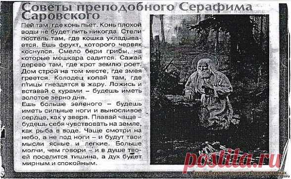 12 советов от старца Серафима.
1. Пей там, где конь пьет. Конь плохой воды не будет пить никогда.
2. Стели постель там, где кошка укладывается.
3. Ешь фрукт, которого червяк коснулся.
4. Смело бери грибы на которые мошкара садится.
5. Сади дерево там, где крот землю роет.
6. Дом строй на том месте, где змея греется.
7. Колодец копай там, где птицы гнездятся в жару.
8. Ложись и вставай с курями - будешь иметь золотое зерно дня.
9. Ешь больше зеленого - будешь иметь сильные ноги и выносли