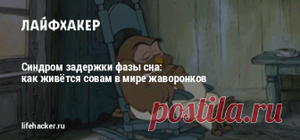 Cиндром задержки фазы сна: как живётся совам в мире жаворонков Совы вовсе не инфантильные неорганизованные лентяи, как принято считать. Пока жаворонки сладко спят, совы творят и трудятся в поте лица по собственному расписанию.