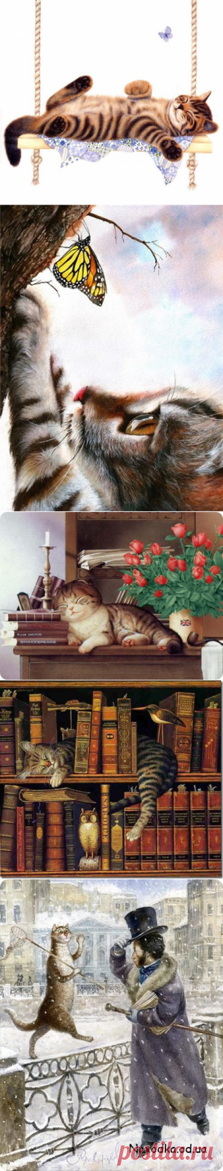 Мой самый необычный кот!