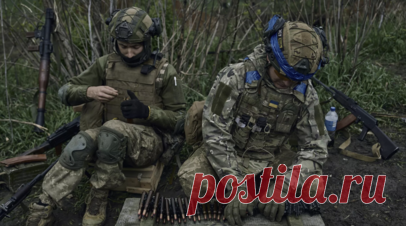 Украинский пленный: командиры ВСУ устраивают самосуд на передовой и расстреливают военных. Украинский военнопленный рассказал, что командиры Вооружённых сил Украины устраивают самосуд на передовых позициях и расстреливают военнослужащих. Читать далее