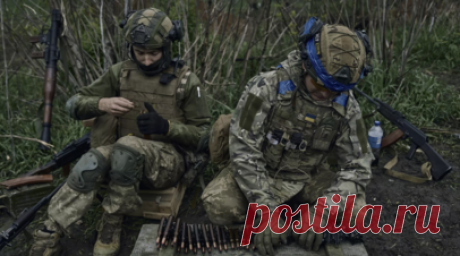 Украинский пленный: командиры ВСУ устраивают самосуд на передовой и расстреливают военных. Украинский военнопленный рассказал, что командиры Вооружённых сил Украины устраивают самосуд на передовых позициях и расстреливают военнослужащих. Читать далее