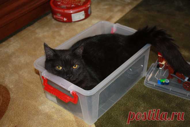 Прятки, прятки... Ну не помещаюсь я уже!